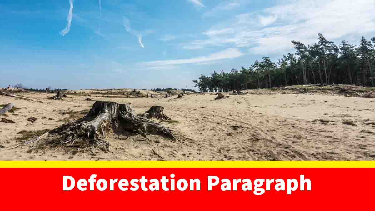 Deforestation Paragraph