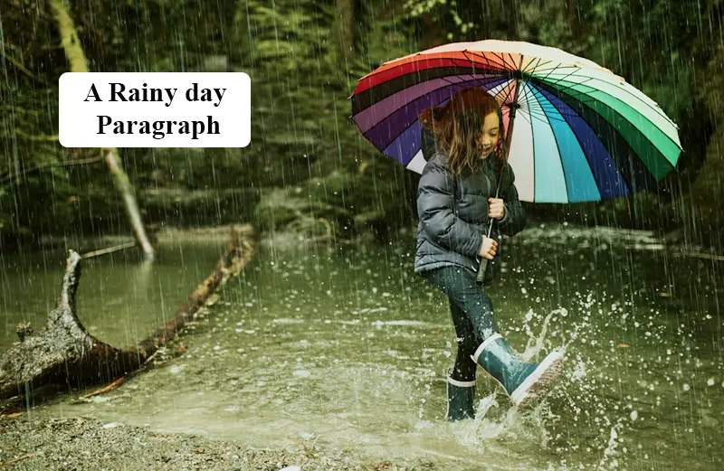 A Rainy Day Paragraph | Class 6 to 12, SSC, HSC & Hon's - Paragraphs BD