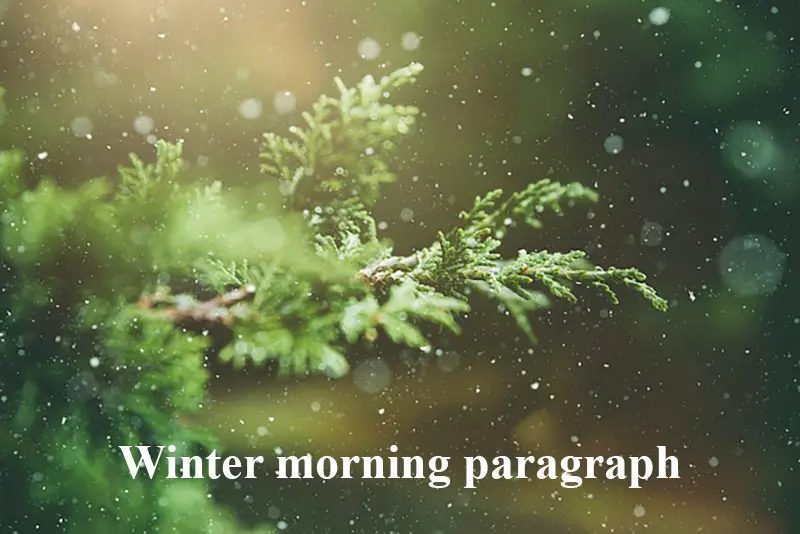 A winter morning paragraph