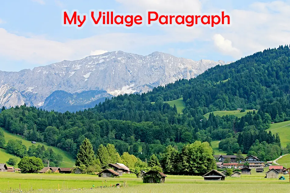 My Village Paragraph