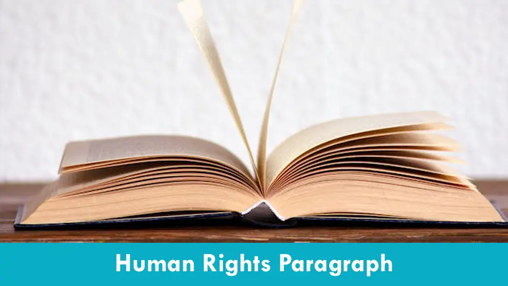 Human Rights Paragraph