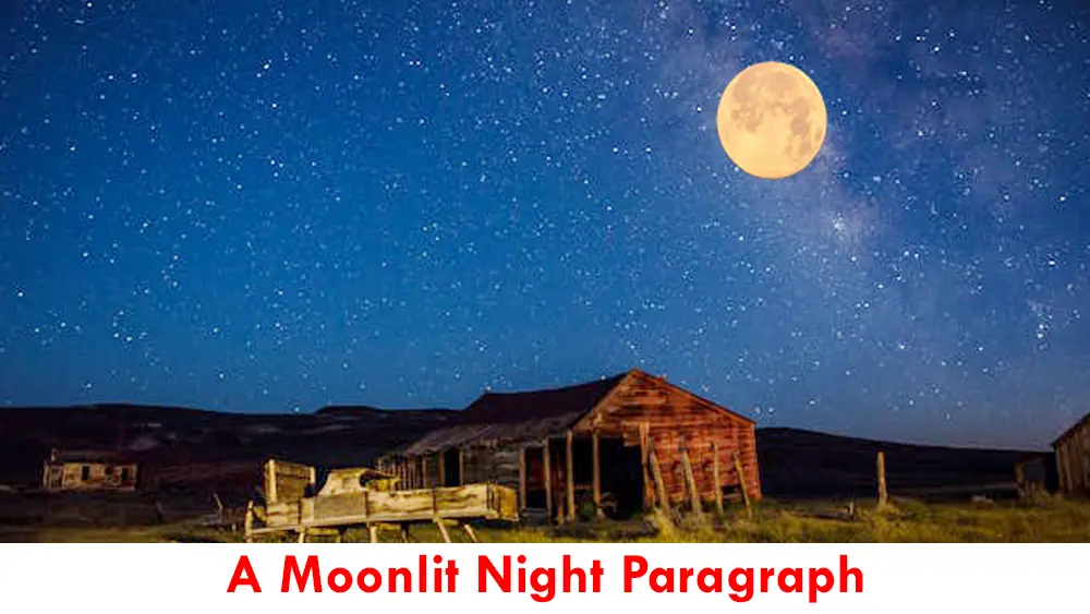 A Moonlit Night Paragraph