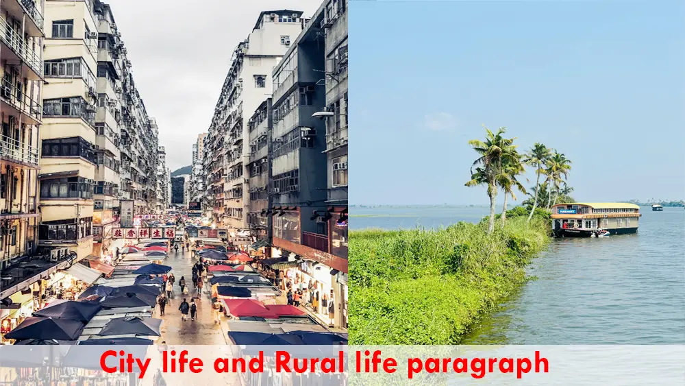 City life and Rural life Paragraph