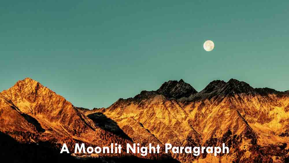 Moonlit Night Paragraph